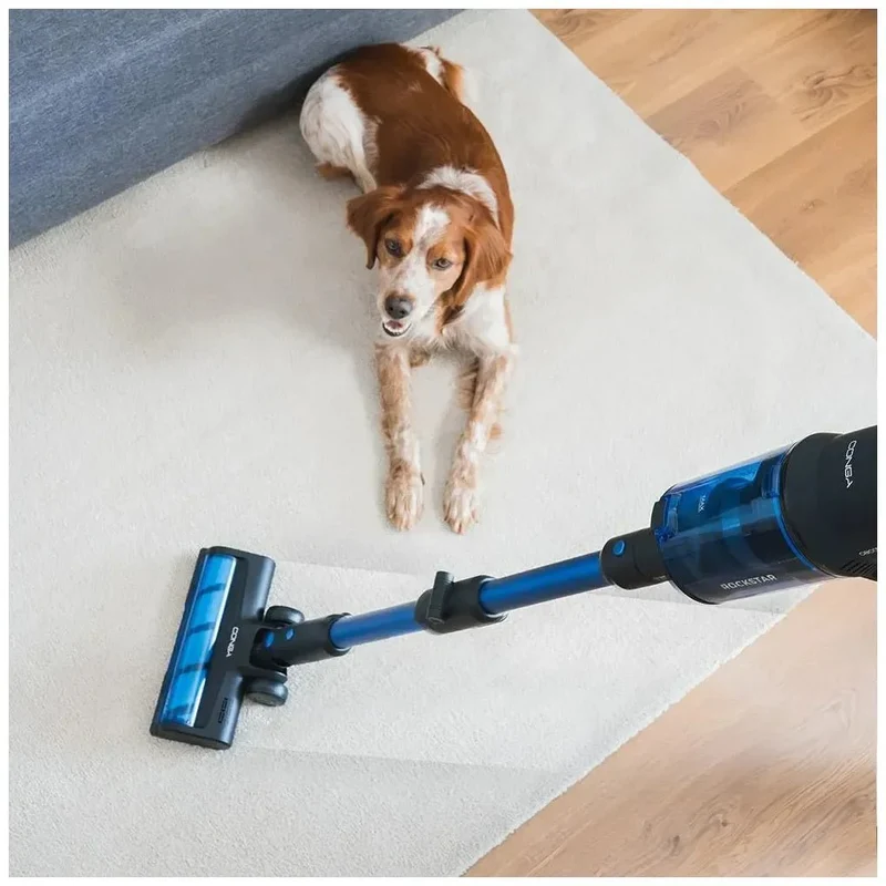 Aspirador Vertical 4 en 1 con Potente Succión y Accesorios para Mascotas de Cecotec