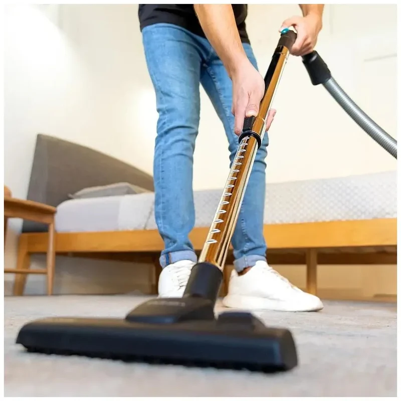 Aspirador Potente y Eficiente con Bolsa de 2.5L y Filtro de Alta Eficiencia de Cecotec