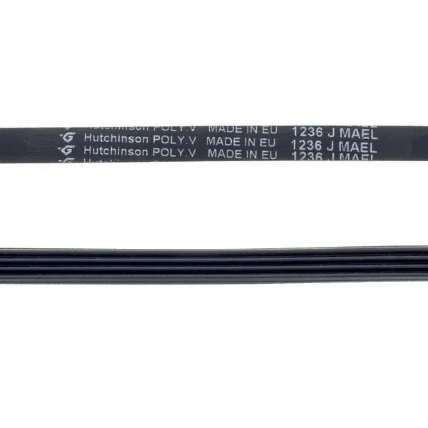 Correa ranurada para lavadora Whirlpool 1236 J-4 481235818206