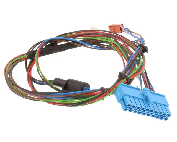 SAUNIER DUVAL Conjunto cables Micraplus | 0020186176