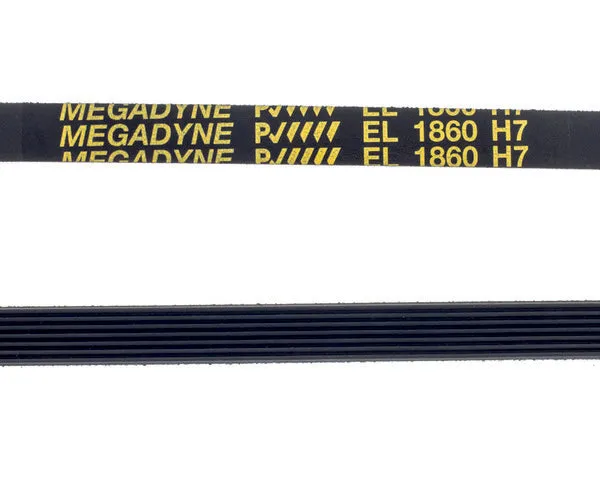 MEGADYNE correa lavadora ranurada 1860 H-7