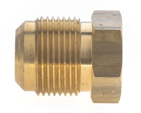 Tapón sae 3/4' 'm