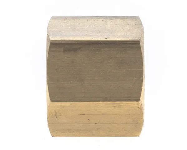 Tapón sae 1/2' 'h