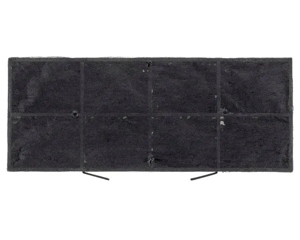 FILTRO CARBÓN CAMPANA 200x80mm 61801238