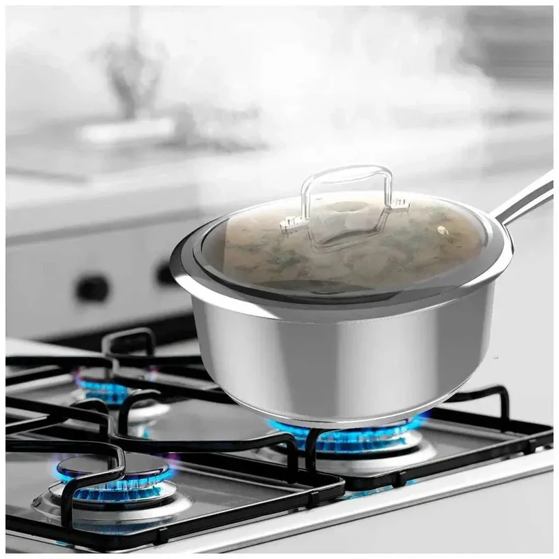 Cazo de Acero Inoxidable 16cm con Tapa de Cristal, Apto para Inducción y Horno de Cecotec