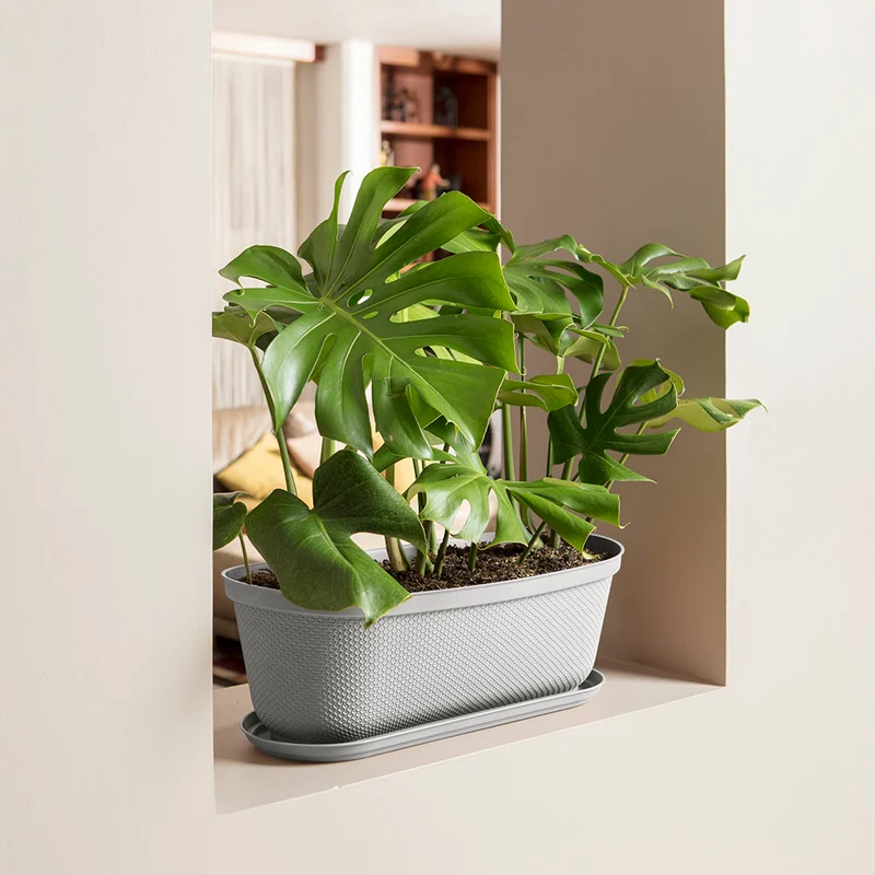 Matera moderna ovalada rafia 60 cm con plato Rimax