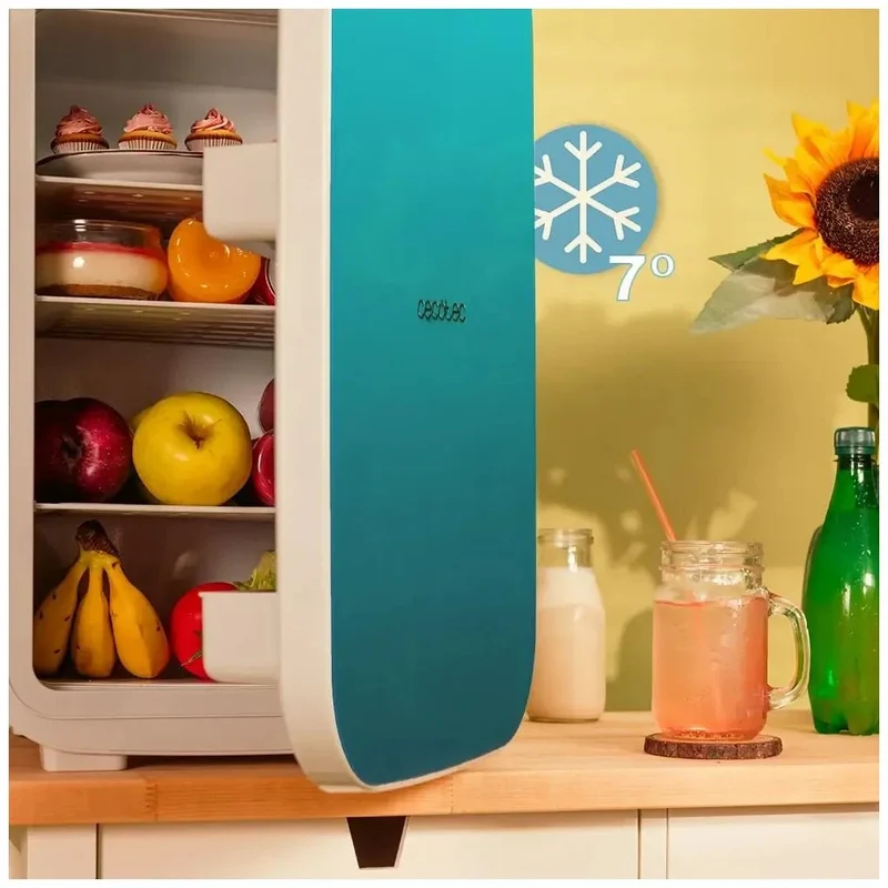 Refrigerador Portátil 25L para Coches y Caravanas con Enfriamiento y Calentamiento de Cecotec