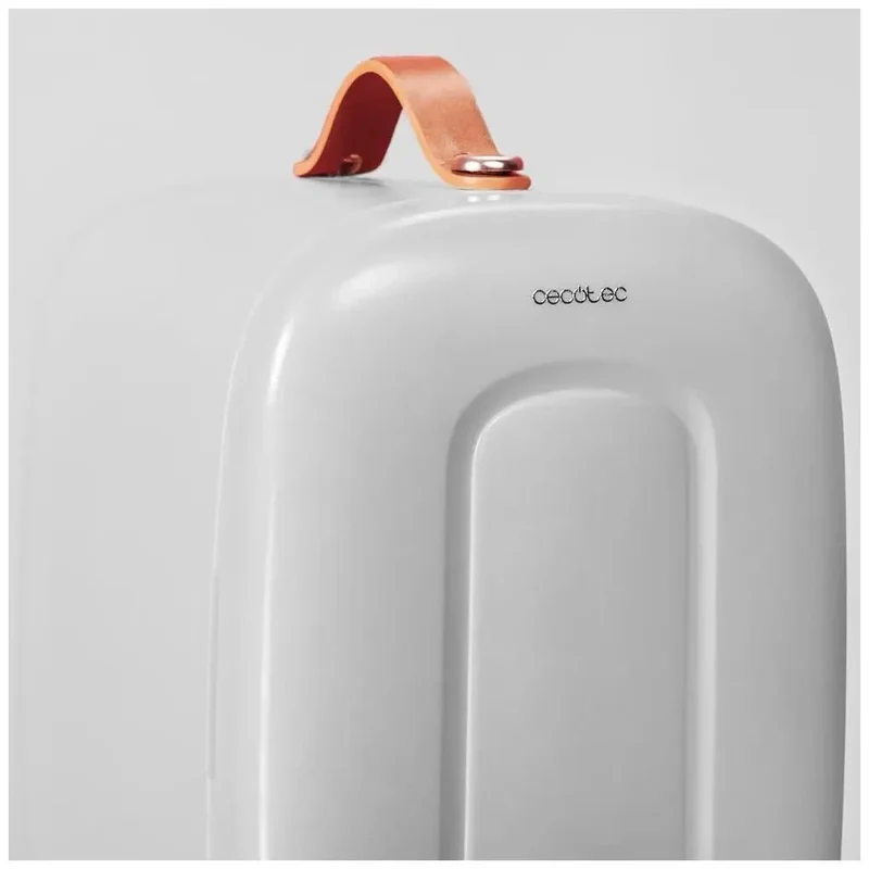 Frigorífico Portátil 4L para Coche y Caravana con Enfriamiento y Calentamiento de Cecotec